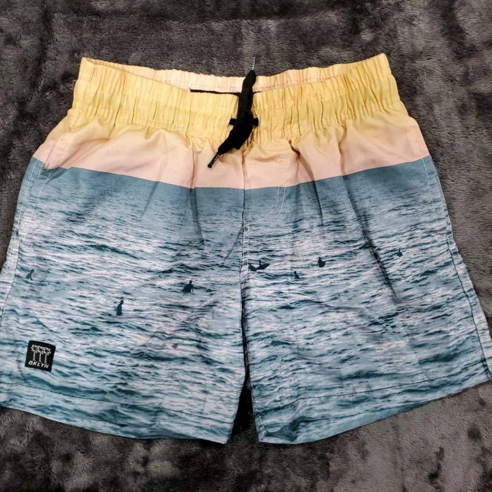 Brooklyn Cloth swim trunks